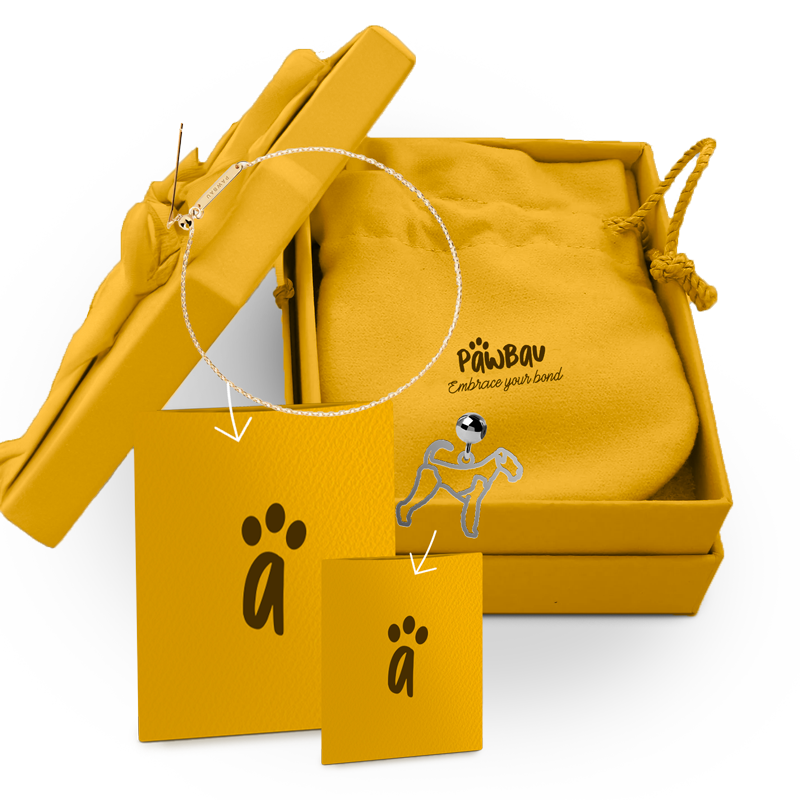 Premium Gift Box