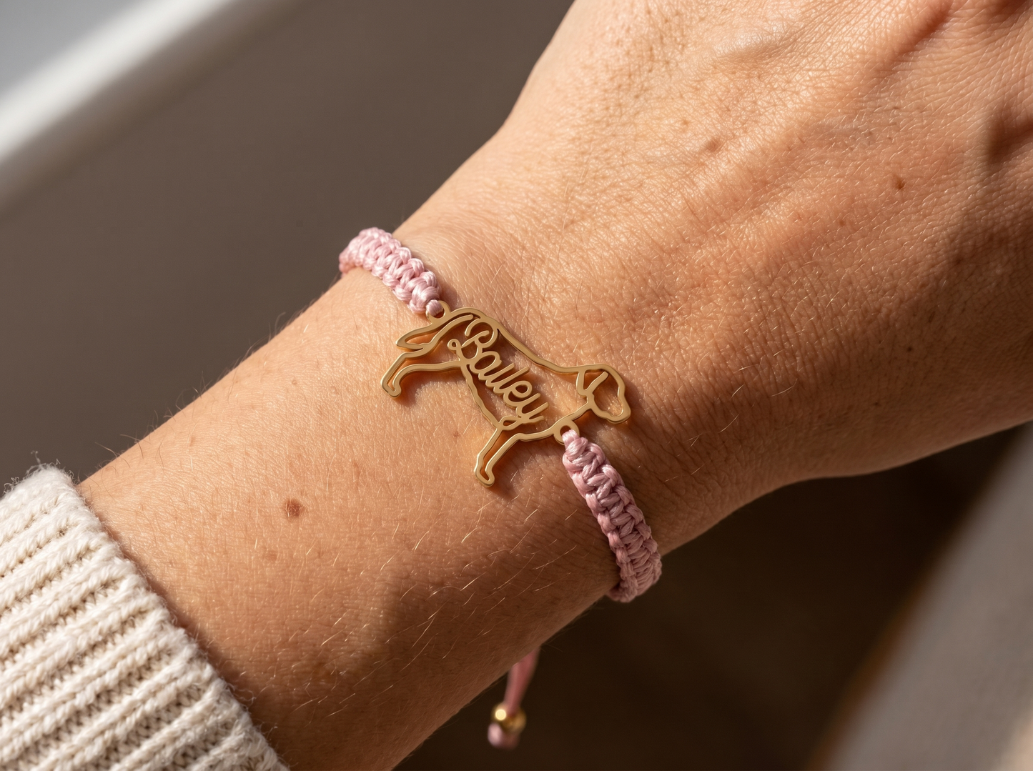 Bracelet pet