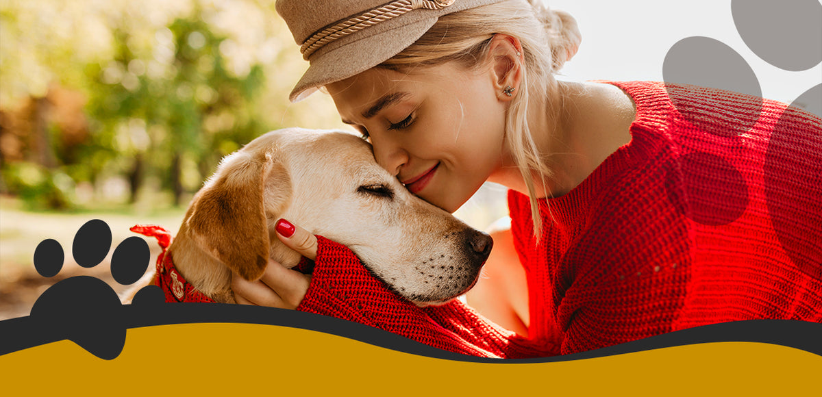 Science reveals: how to have a strong bond with your dog and make him happier