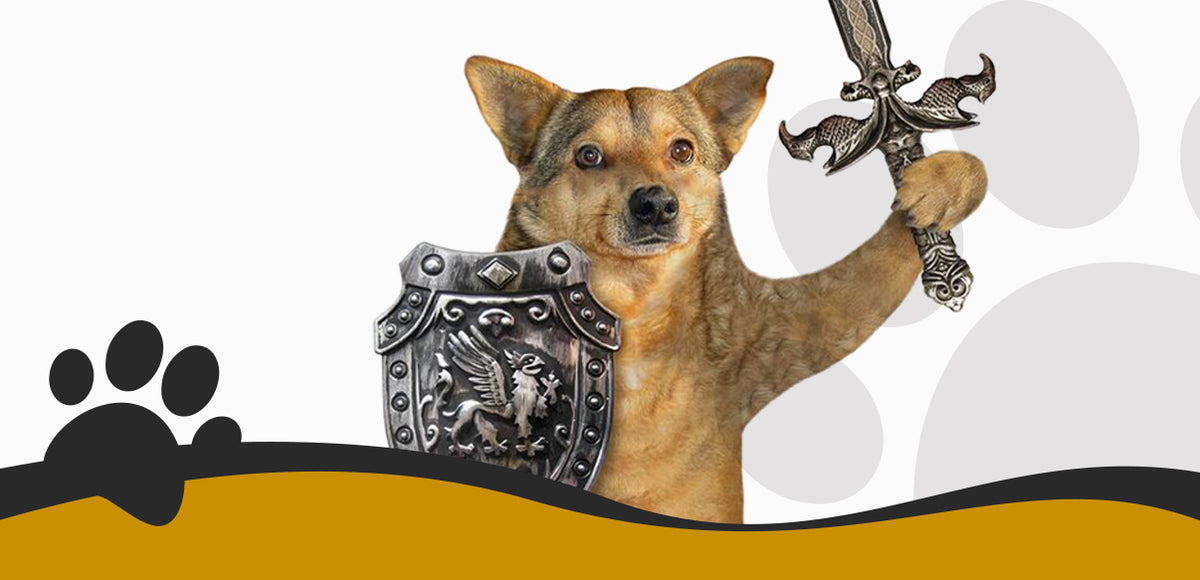 Why Your Dog is Secretly Guarding You at All Times?