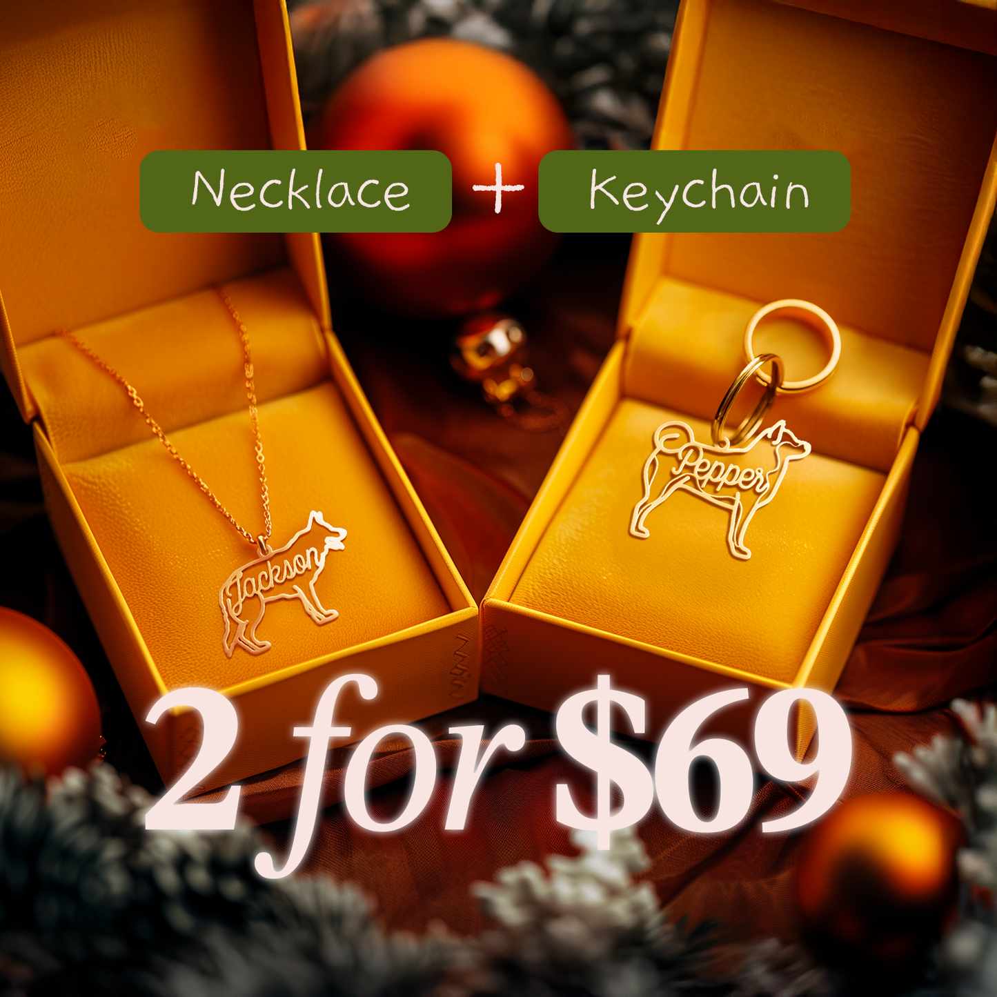 2 Jewelry For $69