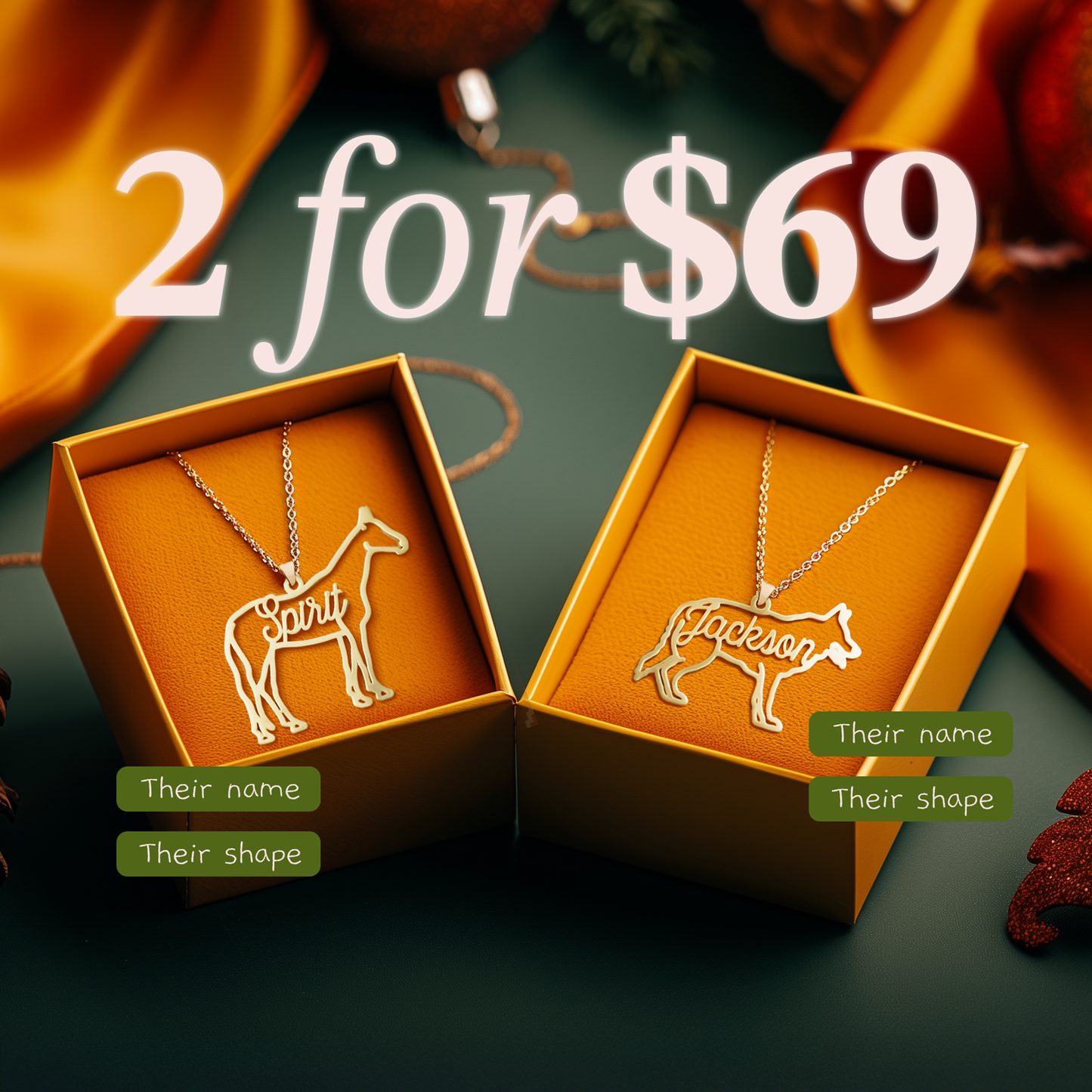 2 Jewelry For $69