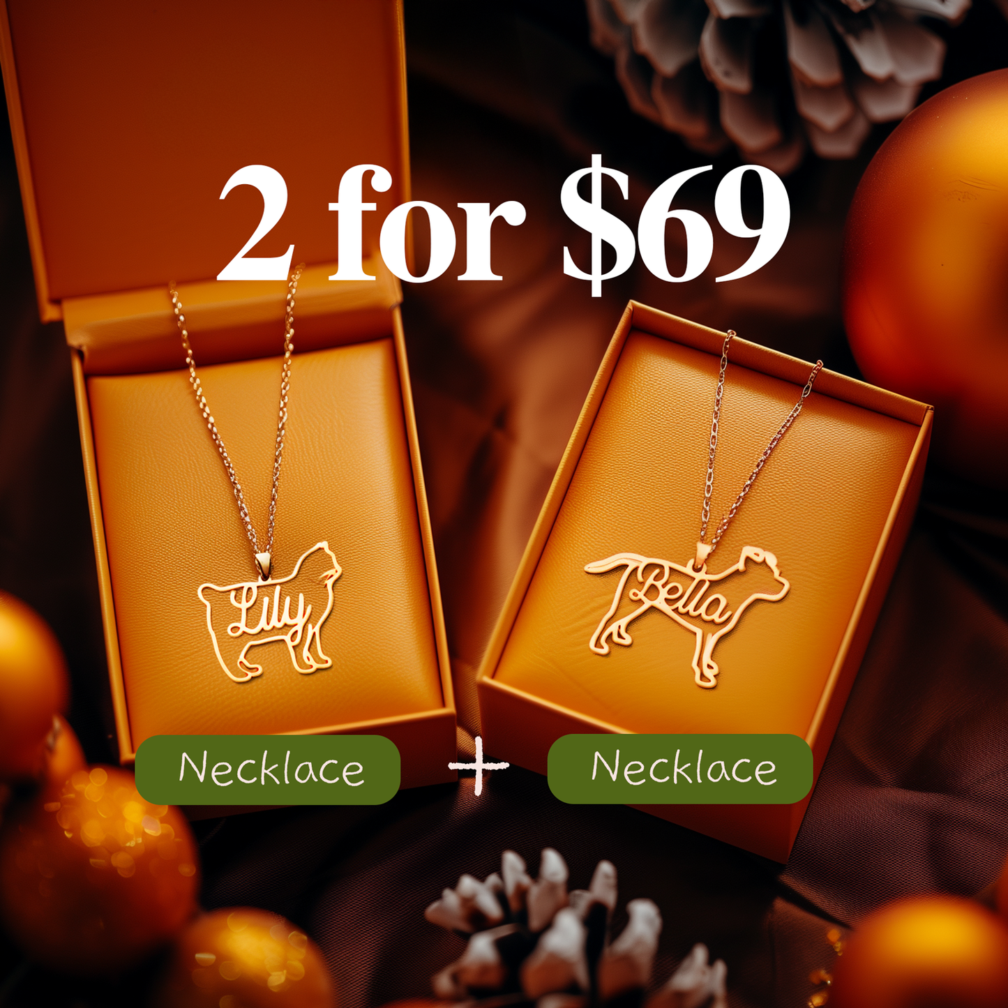 2 Jewelry For $69