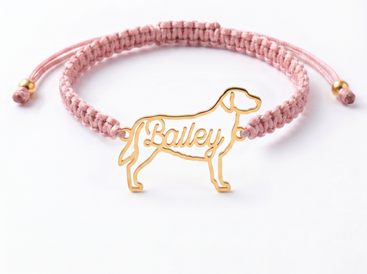 Bracelet pet