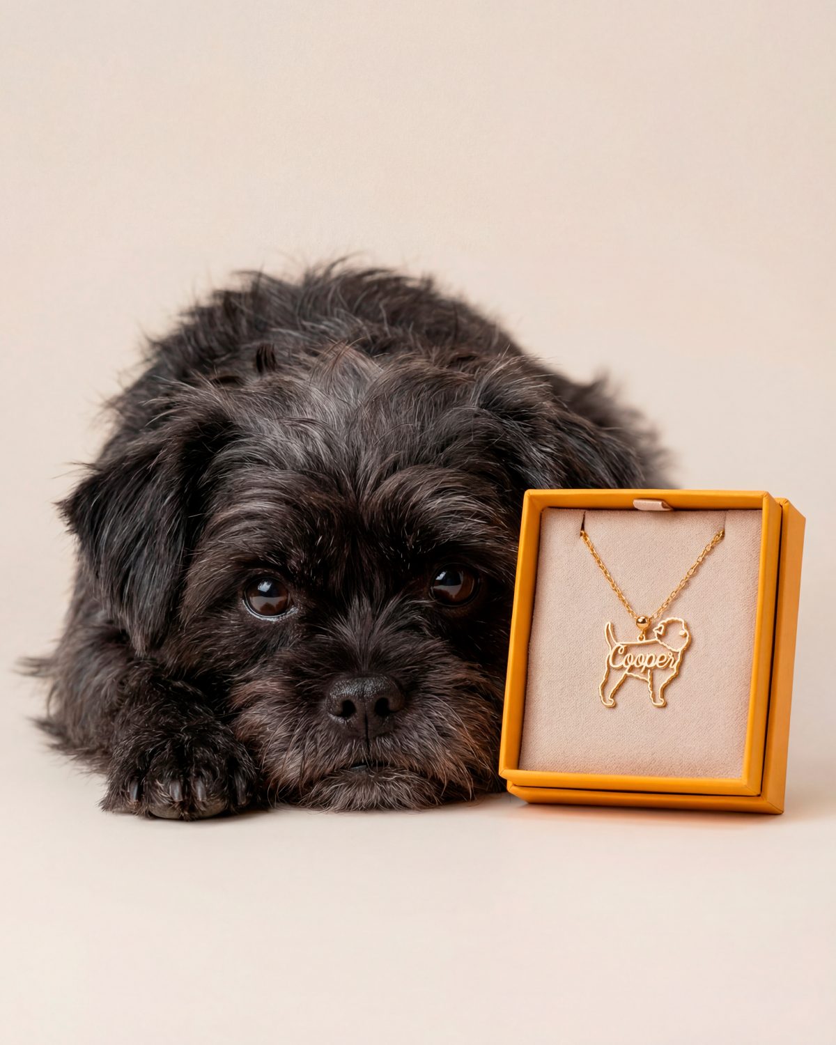 Custom Dog Necklace with Name