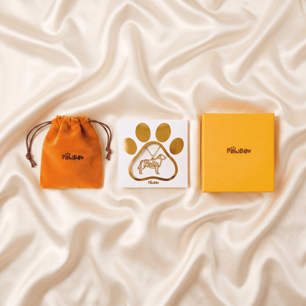 Custom Pet Necklace with Name