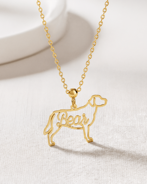 Necklace Pet Breed & Name